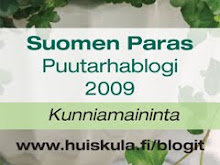 Kunniamaininta