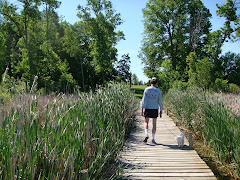 Board Walk at RV Park in Detroit Lakes, MN