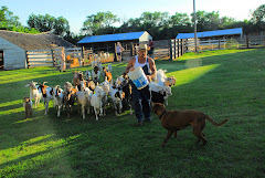 Sean With His Goats