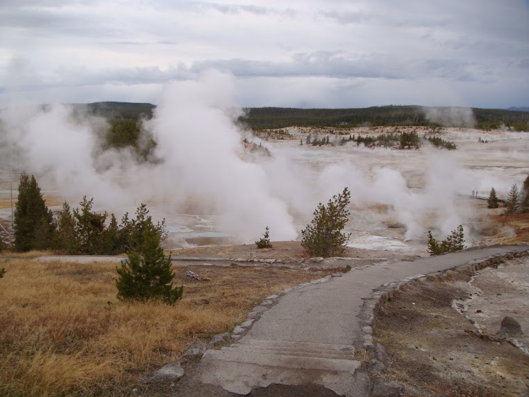 Norris Geysers