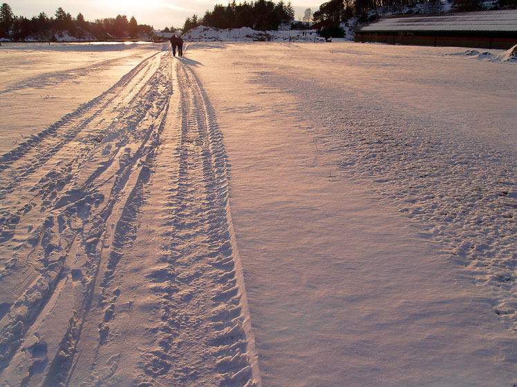 [PC245182.jpg]