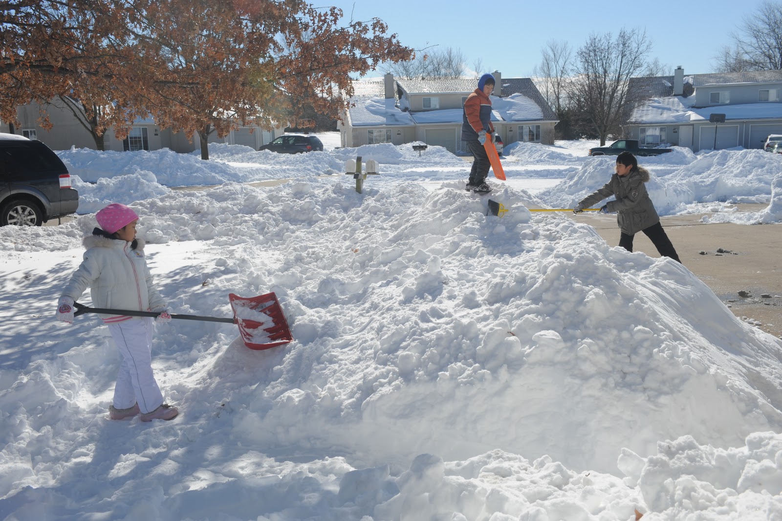 imageum Big Snow in Columbia, Mo (02.02.2011)