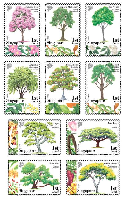 common singapore trees