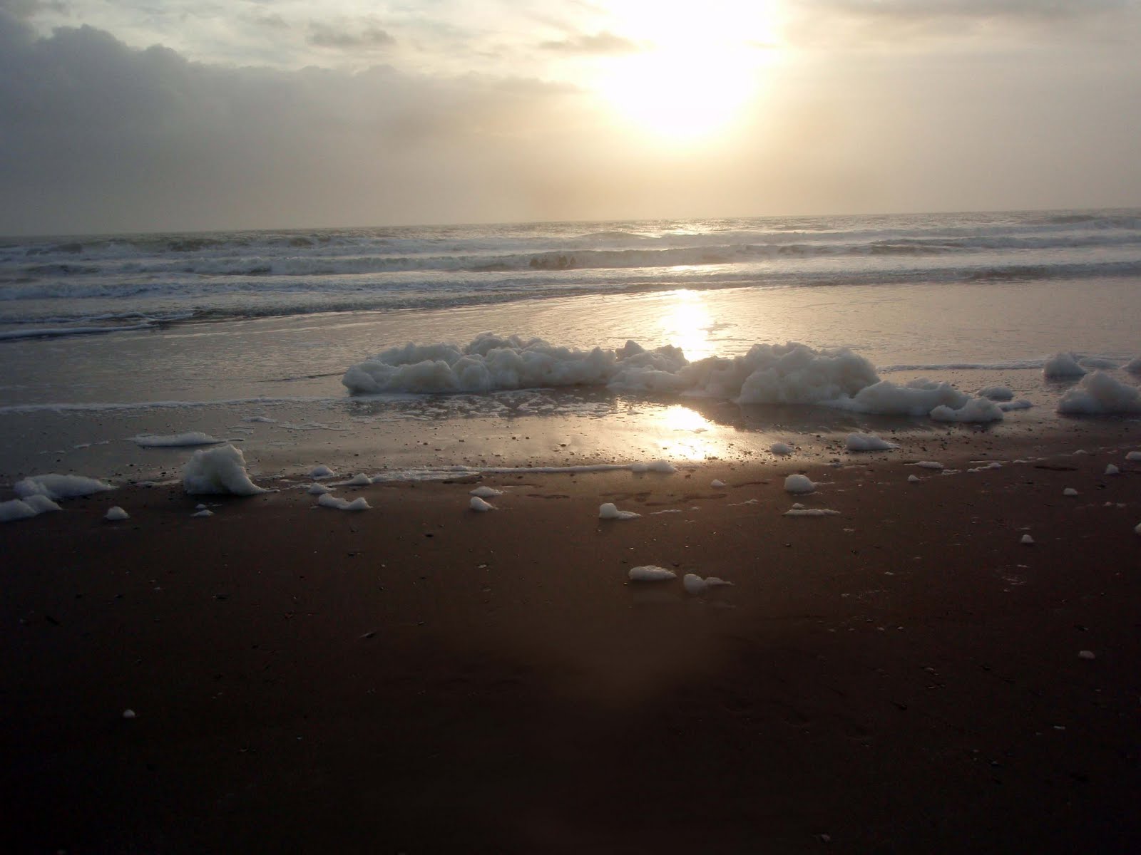 [sun+up+foam.jpg]