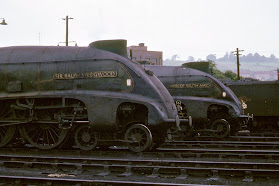 A4s 60006 and 60009 on shed