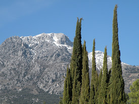 Naturaleza - Quebrajano