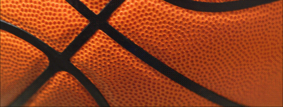 [LONG+BALL+2.gif]