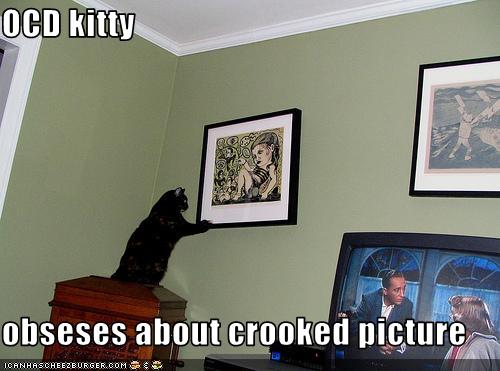 [funny-pictures-ocd-cat-fixes-your-picture-frame.jpg]