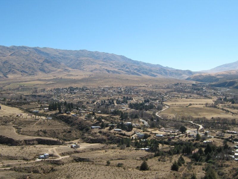 [IMG_0520.JPG]