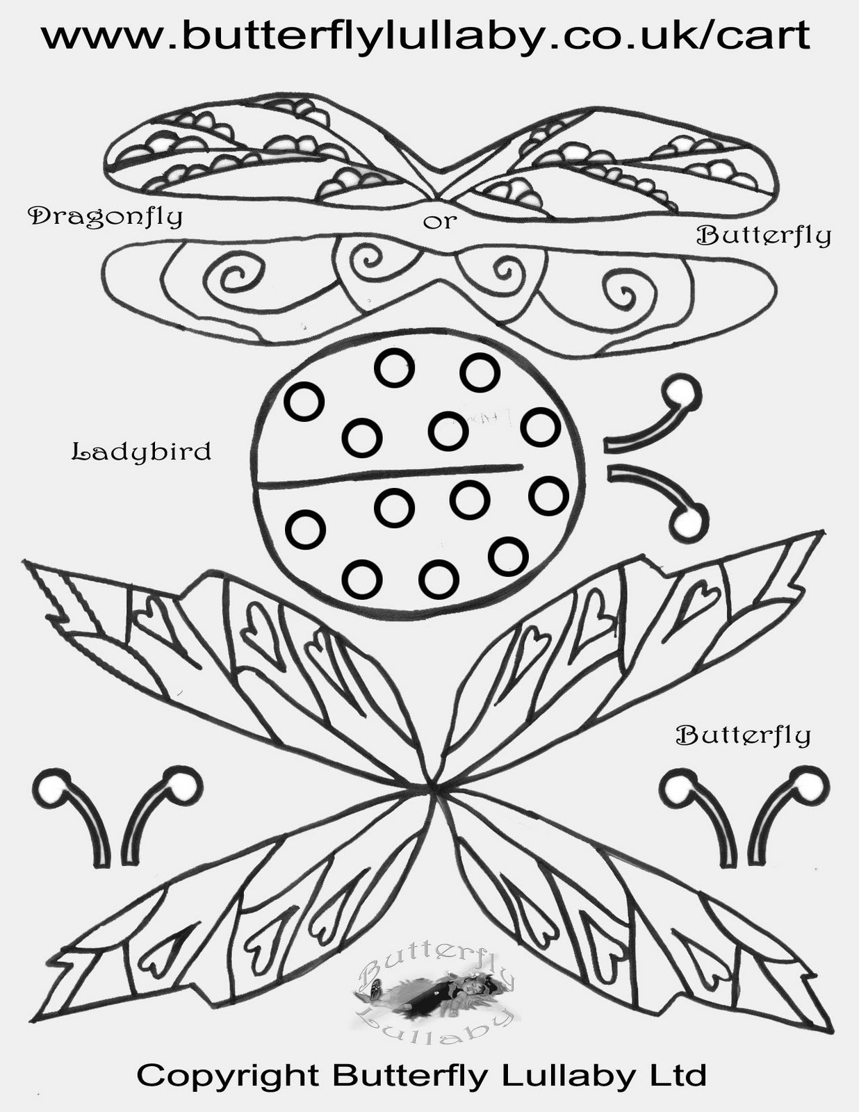 Dragonflies+pictures+for+kids