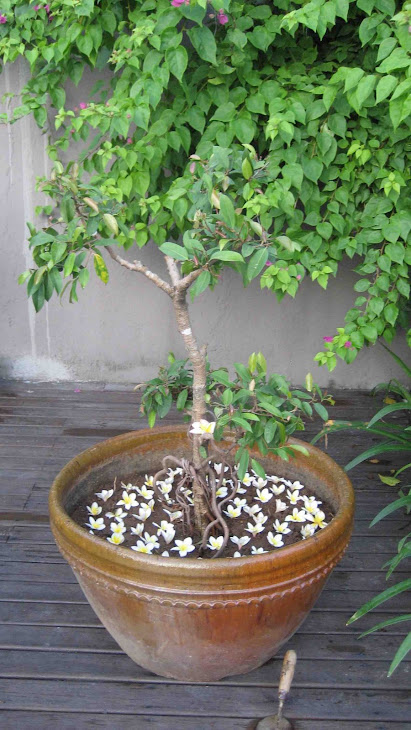 Mala Tree
