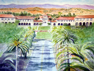 palm drive stanford