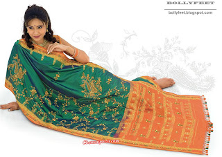 Gorgeous Indian Model in a traditional Saree
