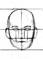 Basic Face Proportions