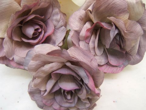 [DSCF3523.JPG]