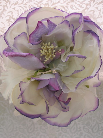 [P1010095-1.JPG]