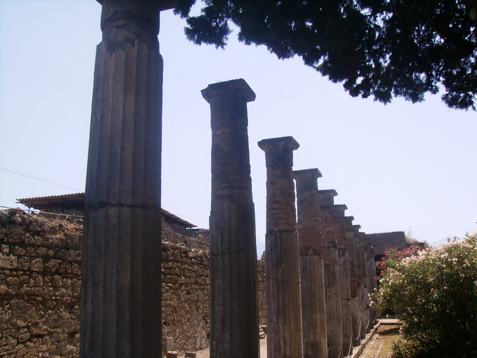 [PICT0085.JPG]