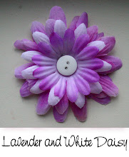 3" Lavender and White Daisy