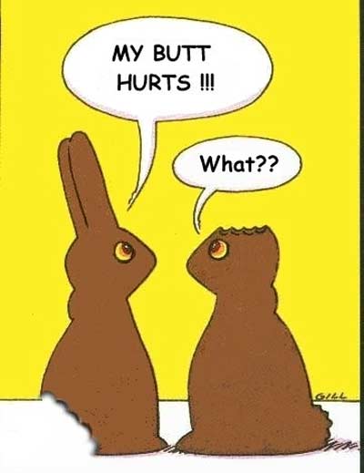 happy bunny quotes and sayings. funny quotes happy bunny.