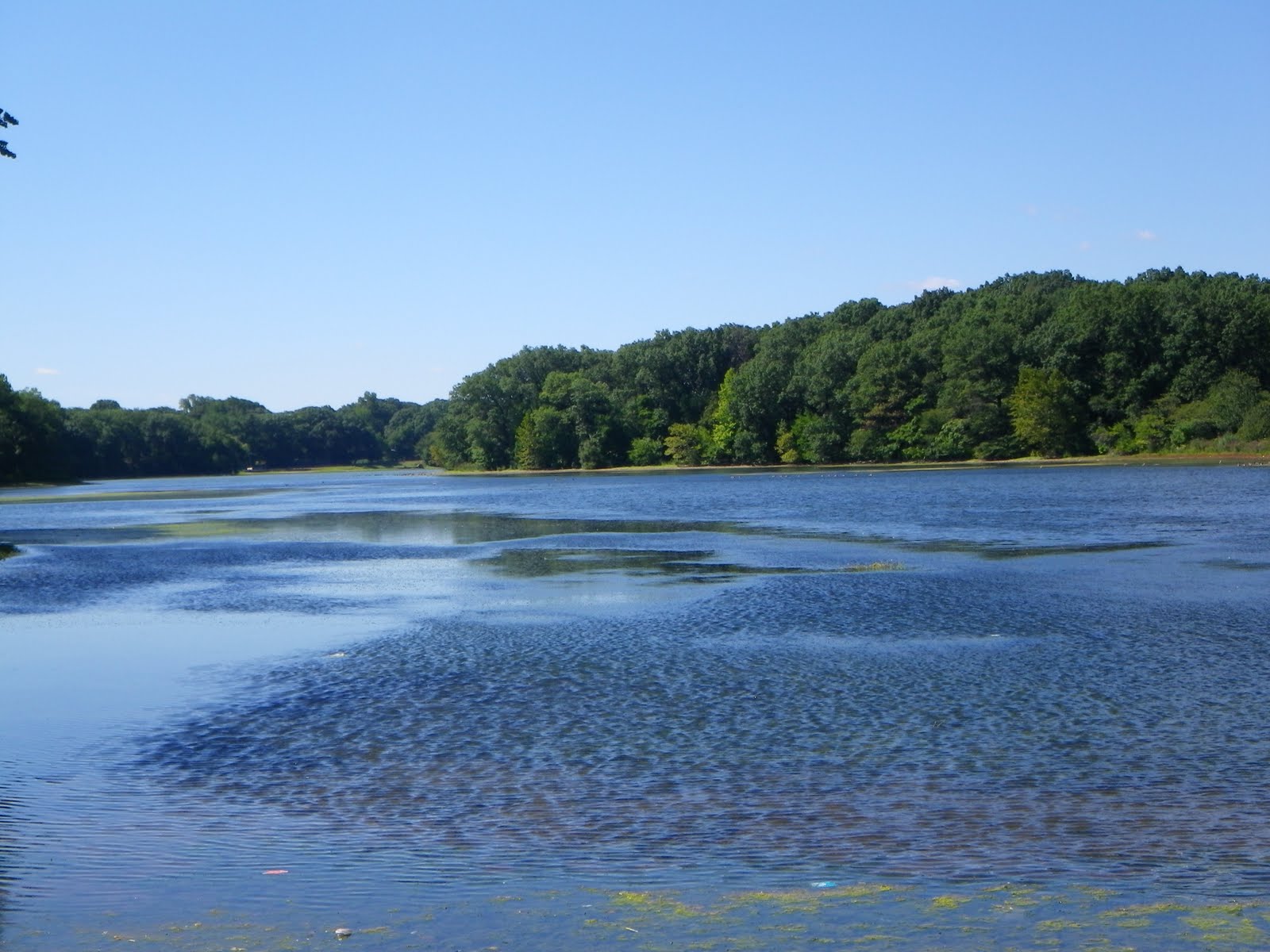 The Great Lakes of NYC Fly fishing in Newark, New Jersey