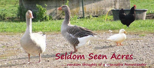 Seldom Seen Acres