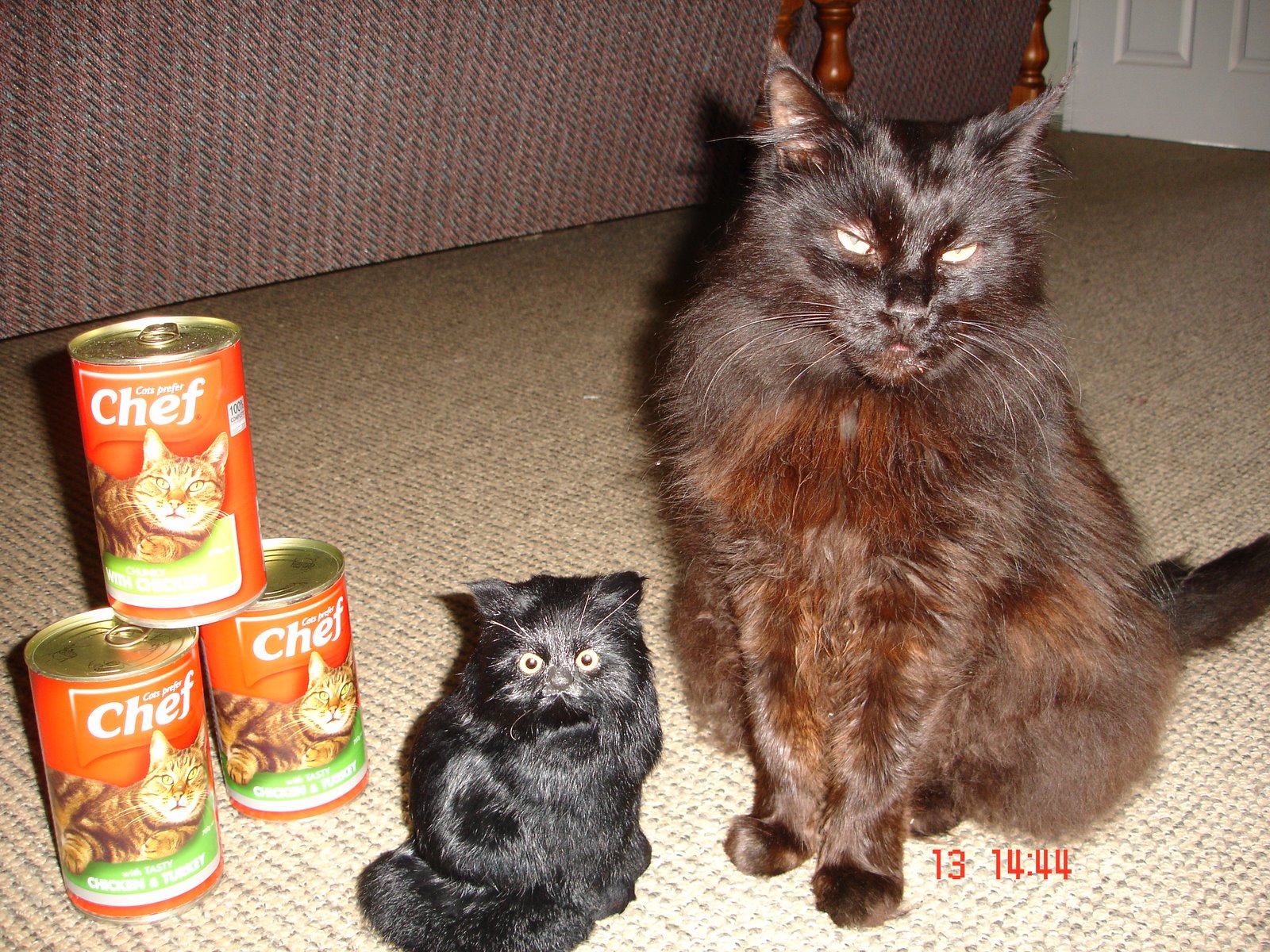 [DSC02865.JPG]