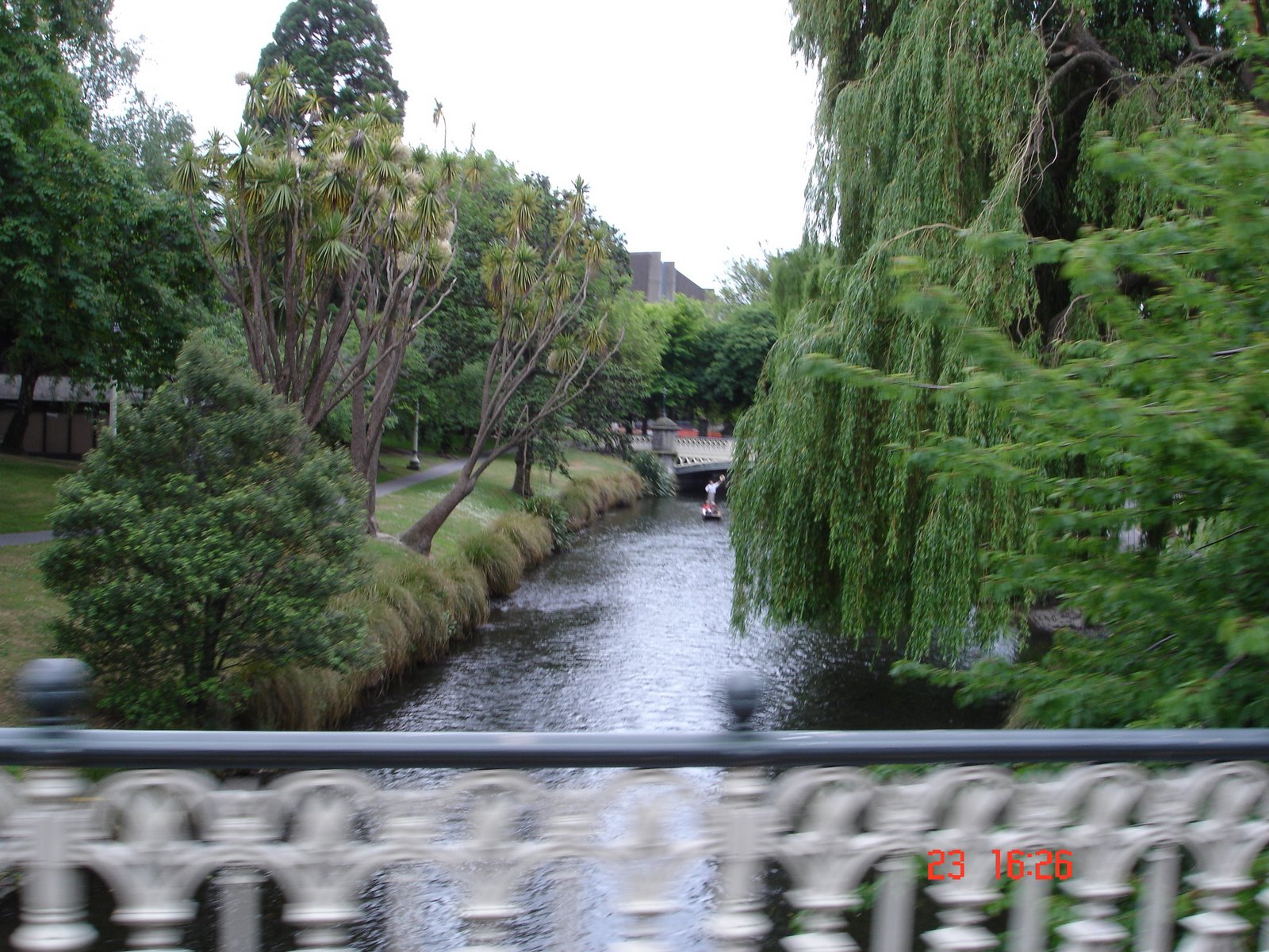 [DSC03950.JPG]