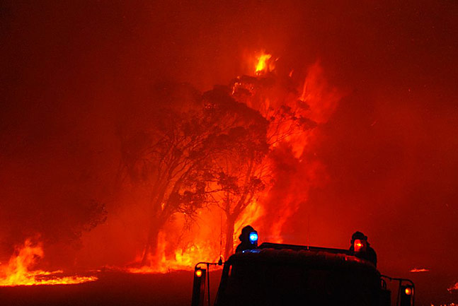 [fire+12.jpg]