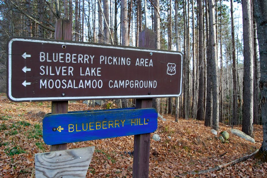 [moosalamoosign.jpg]