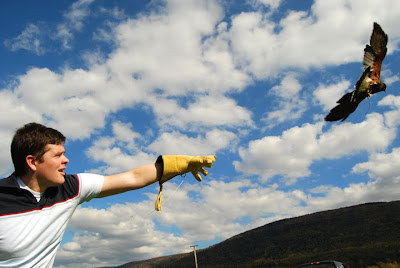 British School of Falconry in Manchester, Vermont