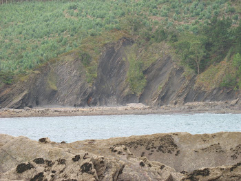 La erosión de ¿ los patos ?