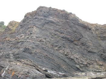 Esta foto se la dedico a los patos pobres del mundo