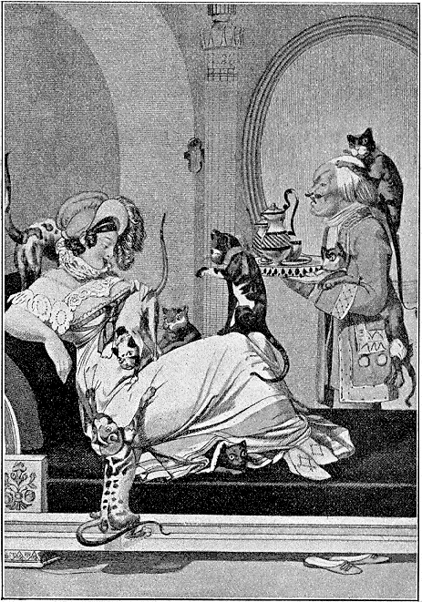 [CatLady.gif]