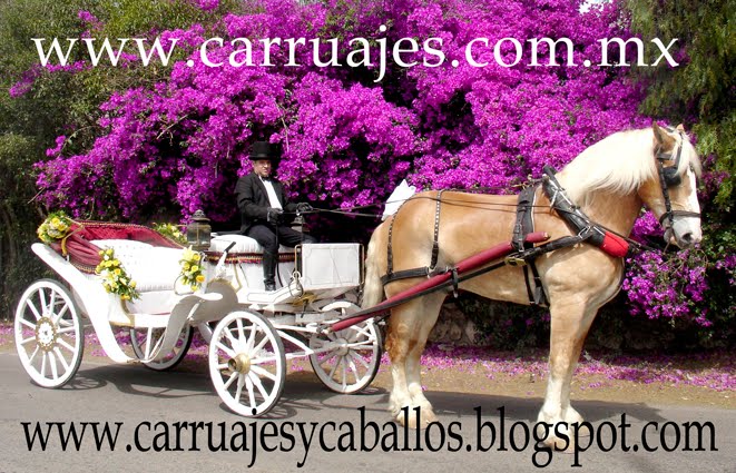 ALQUILER DE CARRUAJES Y CABALLOS