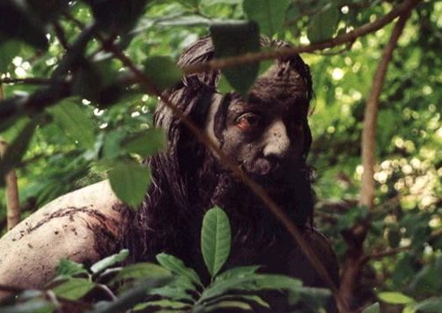 Maruthanayagam Stills