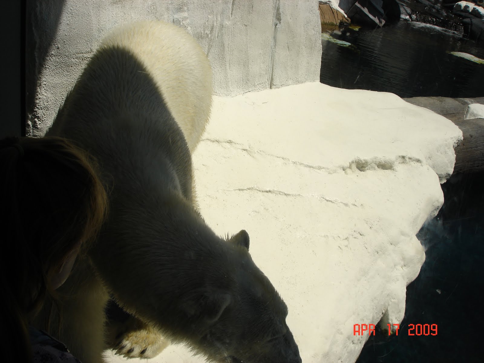 [DSC02303.JPG]