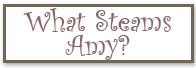 What Steams Amy Button