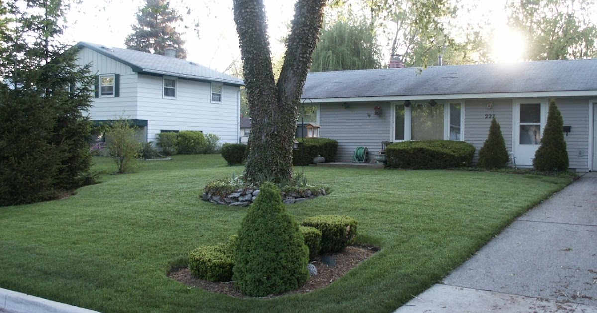 In One Era And Out The Other: The Jerry Baker Lawn Tonic..