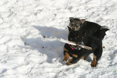 Some things never change - here she is playing keep away with little Ruby