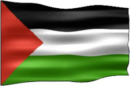 palestina resiste