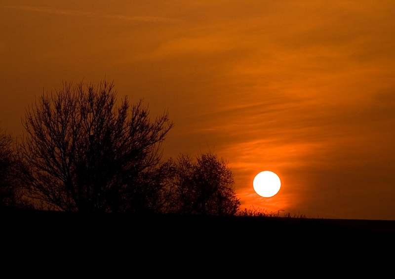 [sunsetl.jpg]