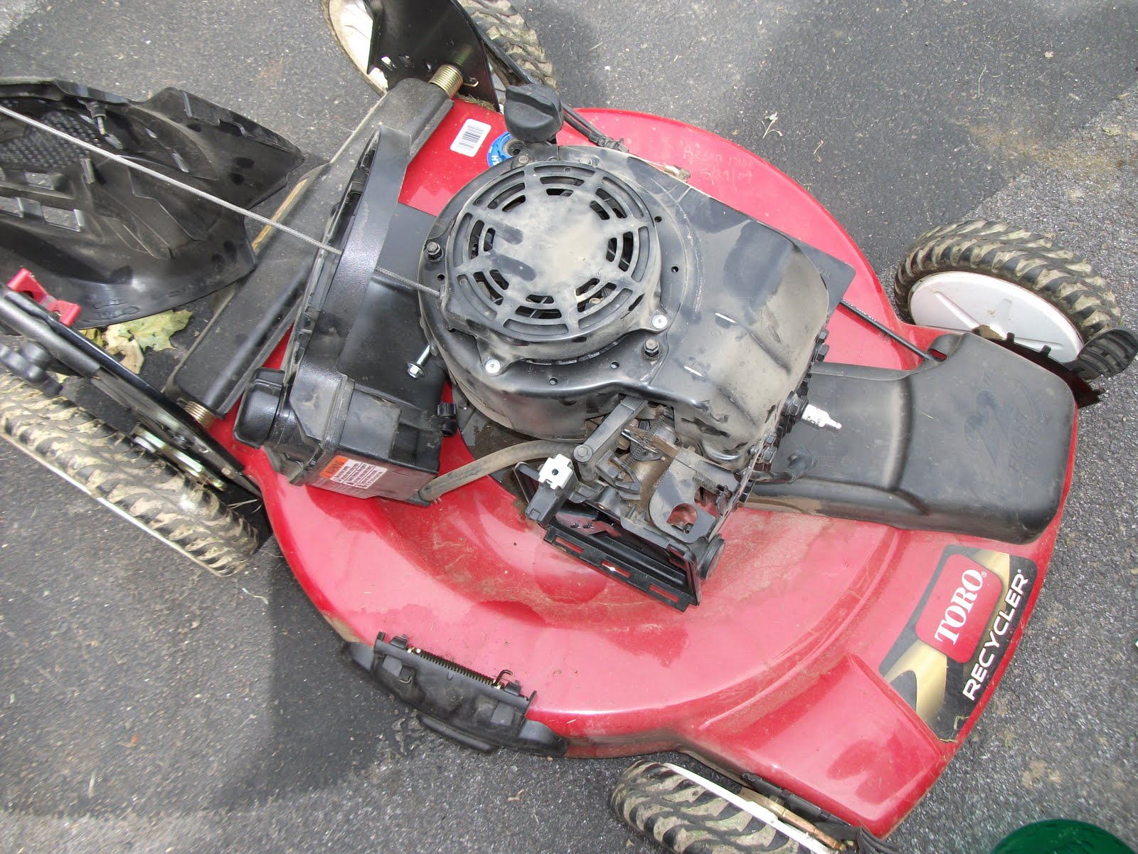 KiwiCranApple Blend Lawnmower Flywheel Key Replacement