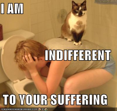 funny-pictures-cat-on-vomiting-person.jpg