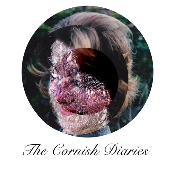 The Cornish Diaries