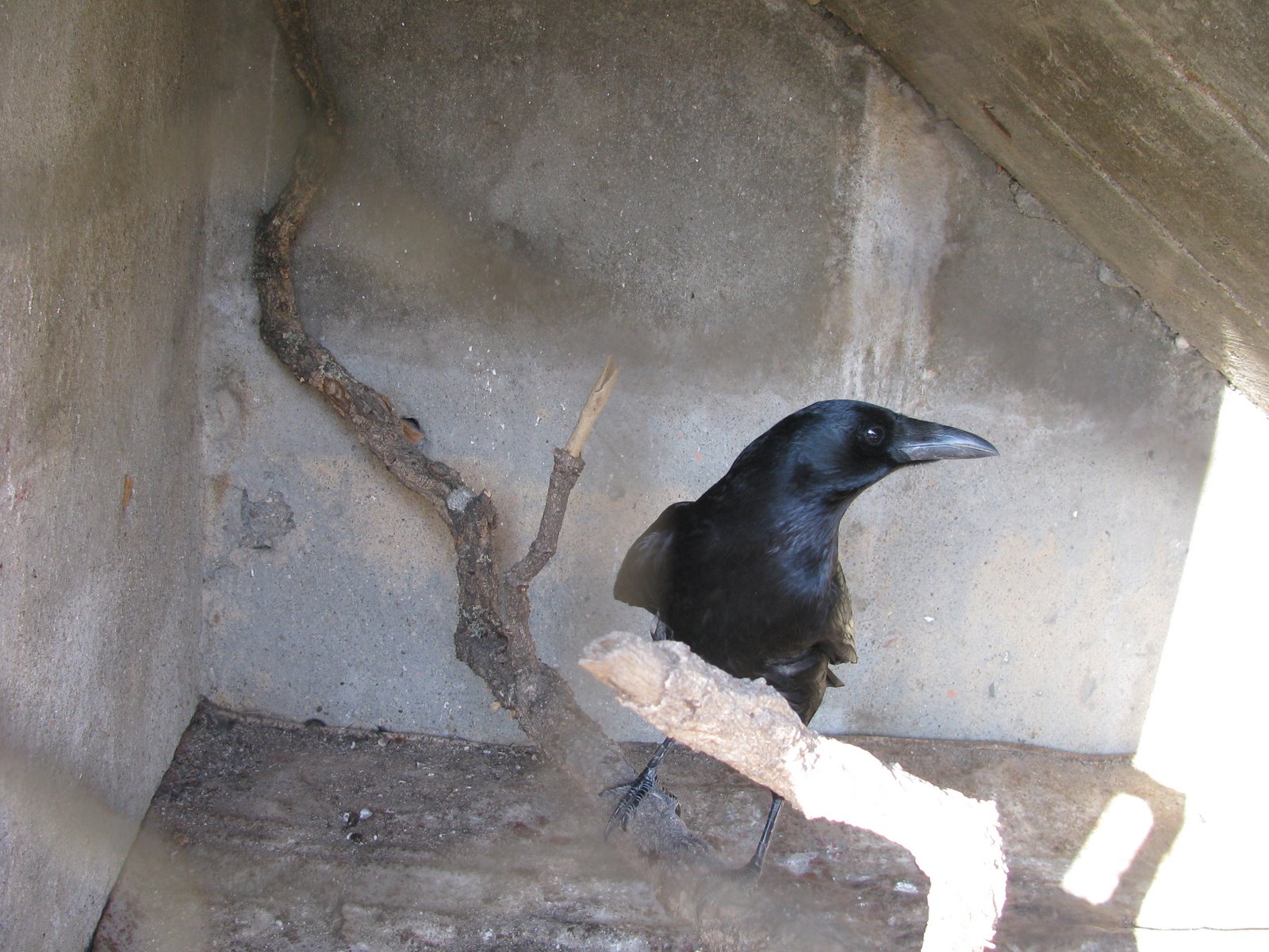 [IMG_0887.JPG]