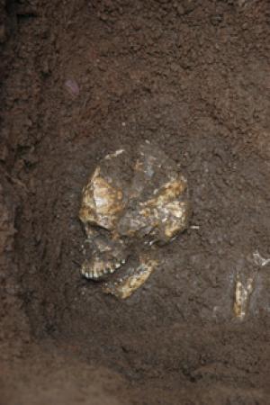 [esqueletos-cabezas-oceania.jpg]