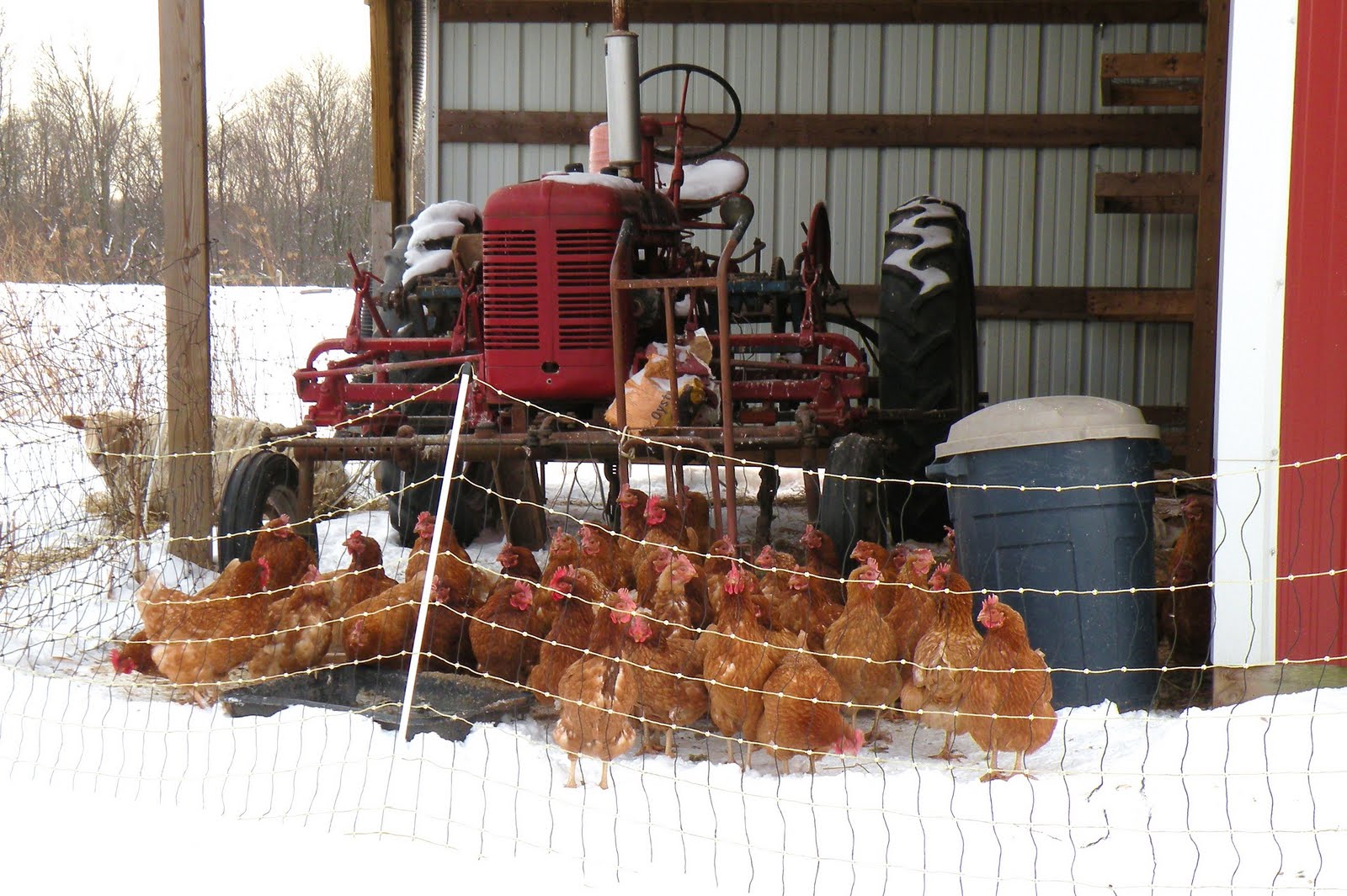 Story Barn White Yarrow Farm CSA Packing Barn