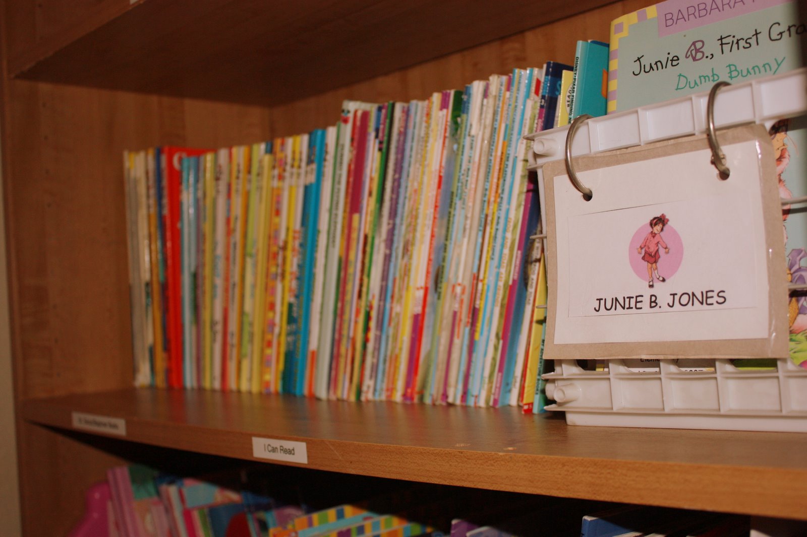 Kindergarten Kids Organizing Your Kids' Books