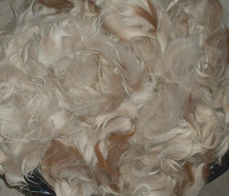 Locksley Fields Llama Wool available