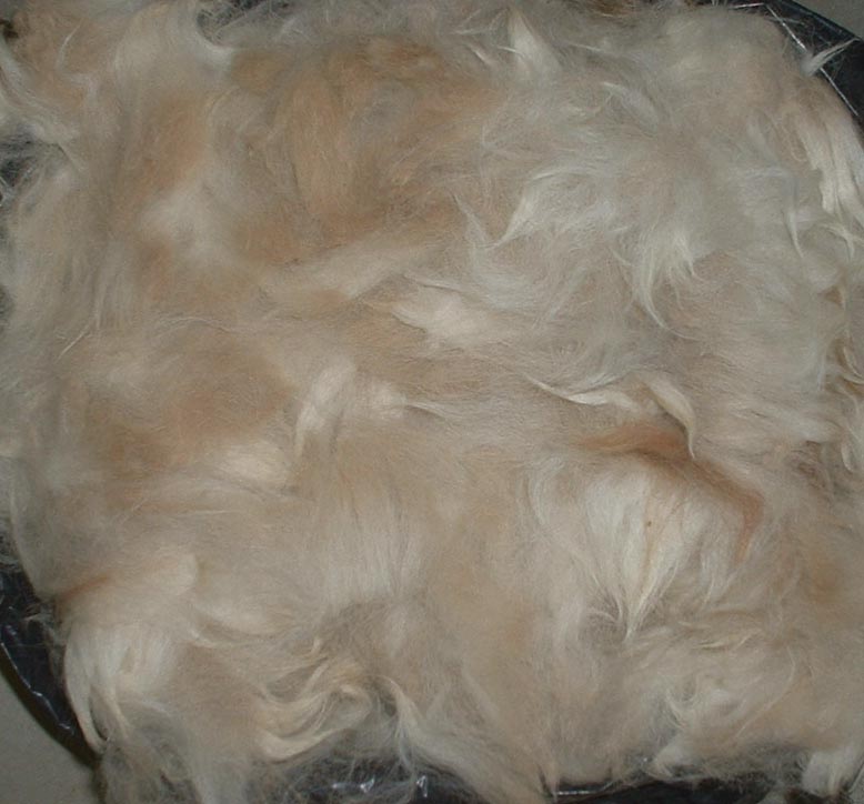 Locksley Fields Llama Wool available